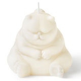 White Cat Scented Candle Funny Adorable Close Eye Cat Candle Gift Home Aesthetic Decor Pine Fragrance Aromatherapy Natural Soy Wax Candles with Wick Desk Art Decoration for Bedroom Bathroom